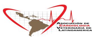 vii-congreso-latinoamericano-de-cardiologia-veterinaria-cardiosumaq-2025-image